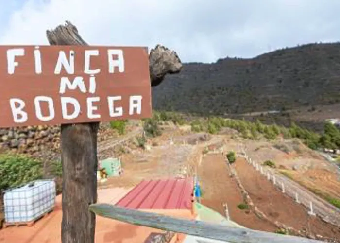Lägenhet Live Candelaria Mi Bodega *