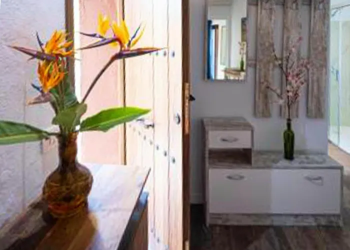 Live Candelaria Mi Bodega