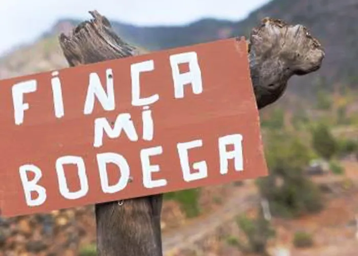 Lägenhet Live Candelaria Mi Bodega *