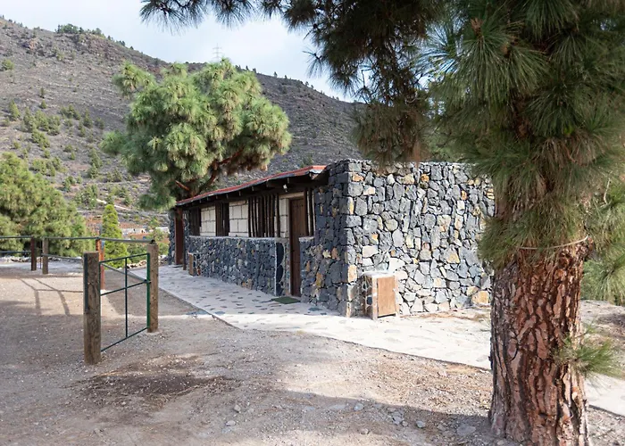 Live Candelaria Mi Bodega *