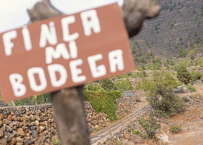 Live Candelaria Mi Bodega