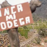 Live Candelaria Mi Bodega