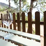 Live Candelaria Mi Bodega * Araya (Tenerife)