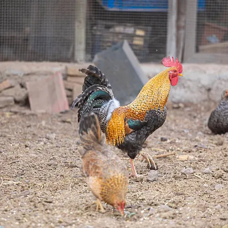 Live Mi Bodega 아파트 *