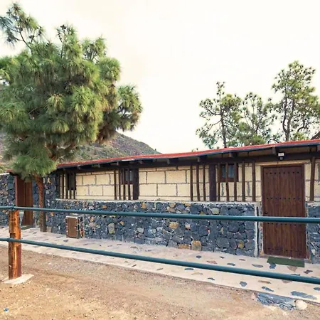 Live Candelaria Mi Bodega