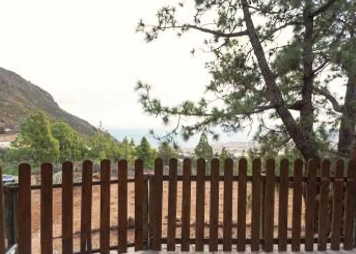 Live Candelaria Mi Bodega * Araya (Tenerife)