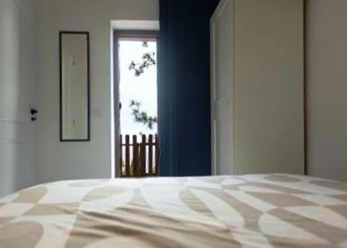 Live Candelaria Mi Bodega