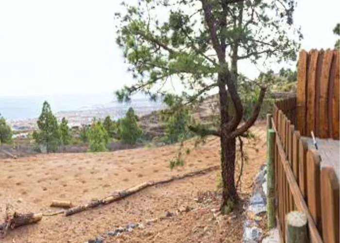 Live Candelaria Mi Bodega * Araya (Tenerife)