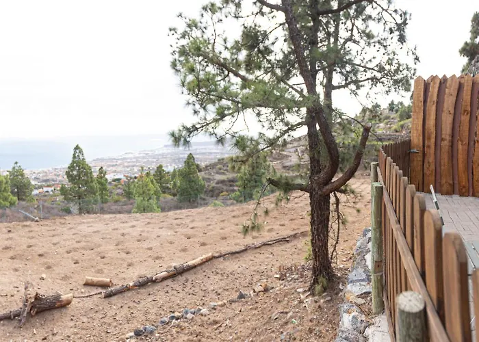 Apartament Live Candelaria Mi Bodega