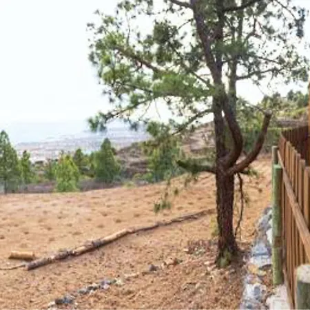 Live Mi Bodega * Araya (Tenerife)