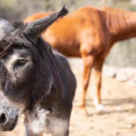 Live Mi Bodega Appartement