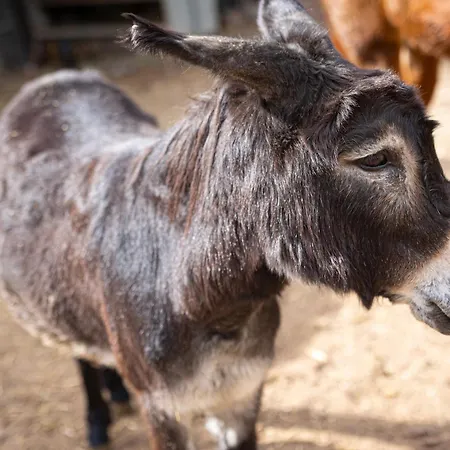 Live Mi Bodega Appartement