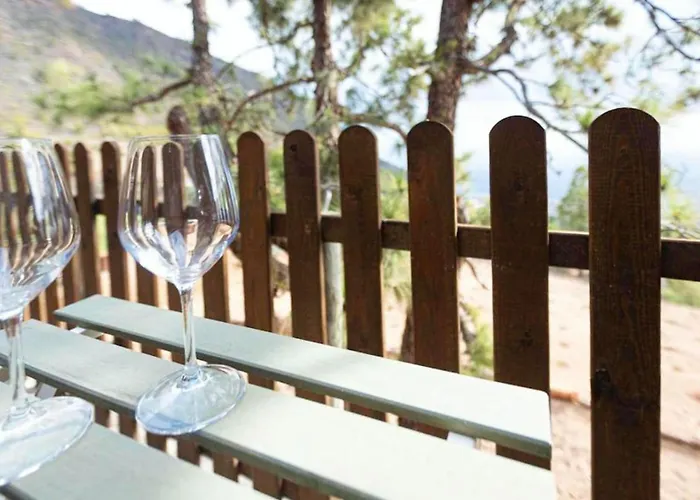 Live Candelaria Mi Bodega * Araya (Tenerife)